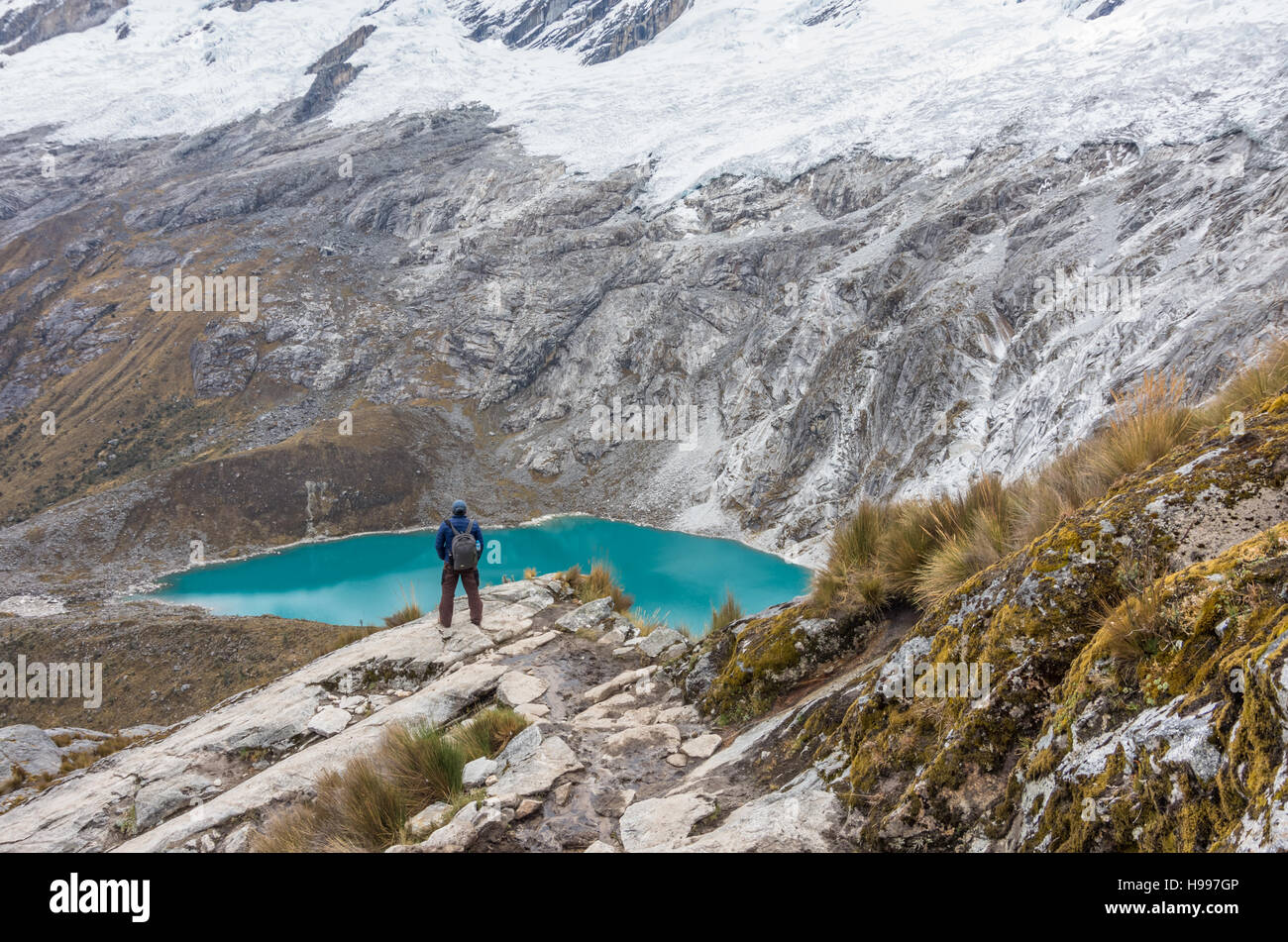 Anden-Wanderer Stockfoto