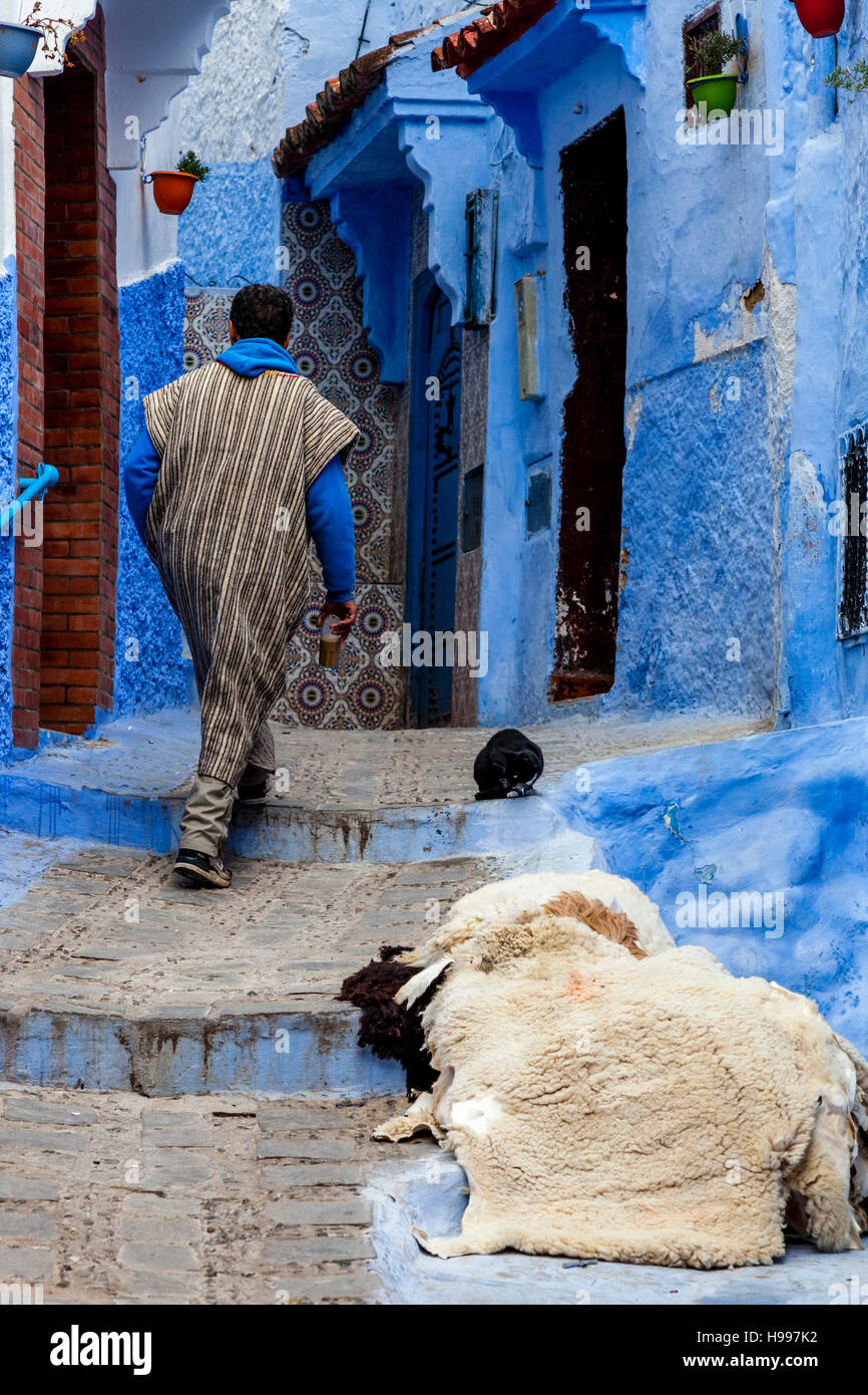 Leben auf der Straße In der Medina, Chefchaouen, Marokko Stockfoto