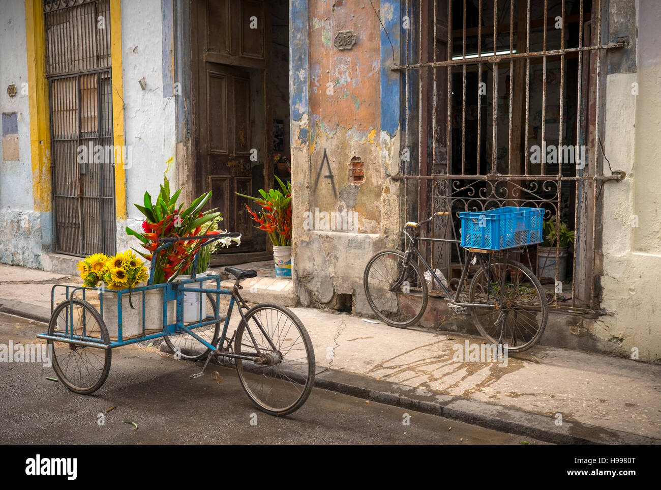 Havanna, Kuba: Flower Shop und Lieferung Fahrräder, Alt-Havanna Stockfoto