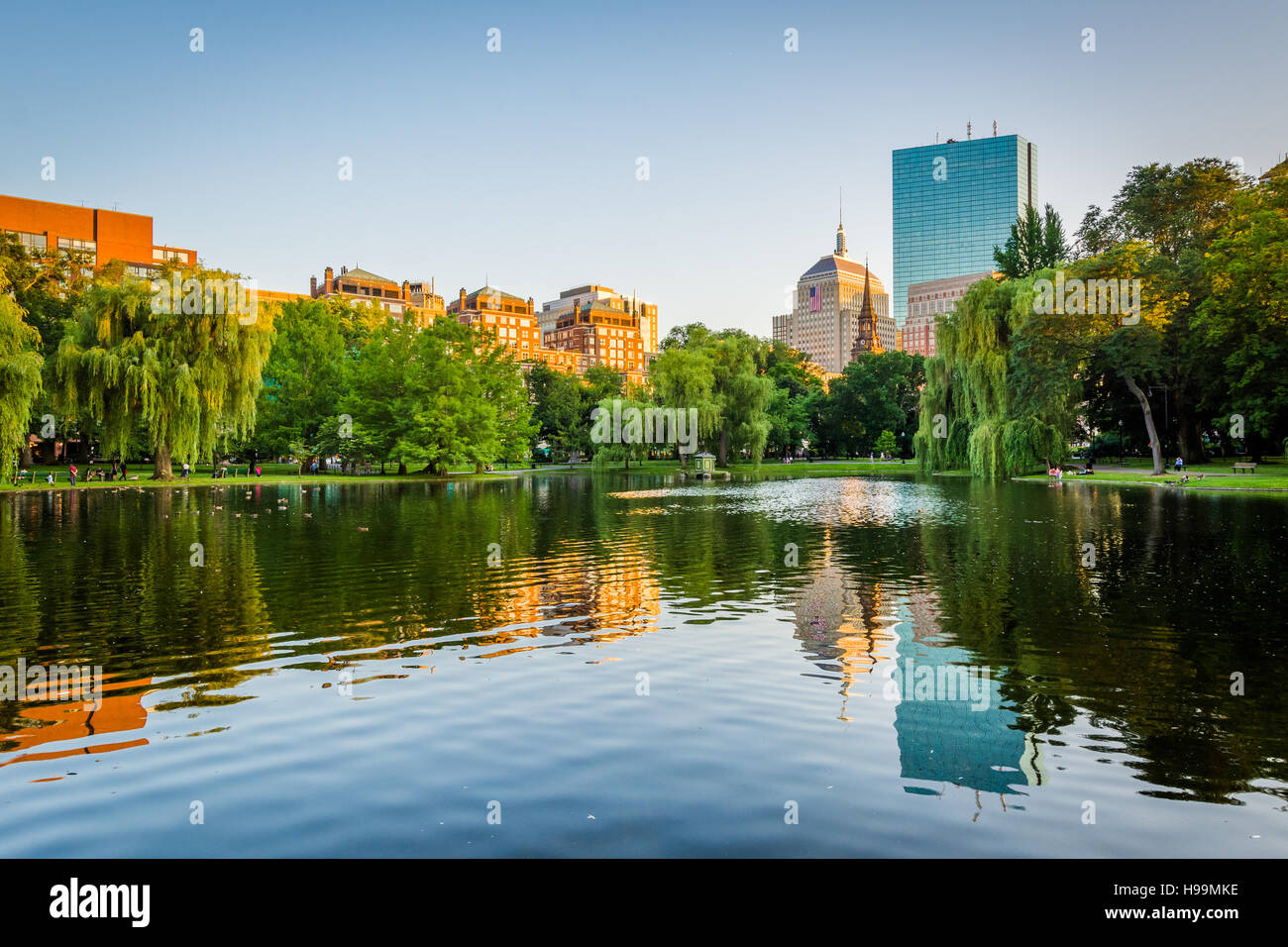Der Teich an der Boston Public Garden, in Boston, Massachusetts. Stockfoto