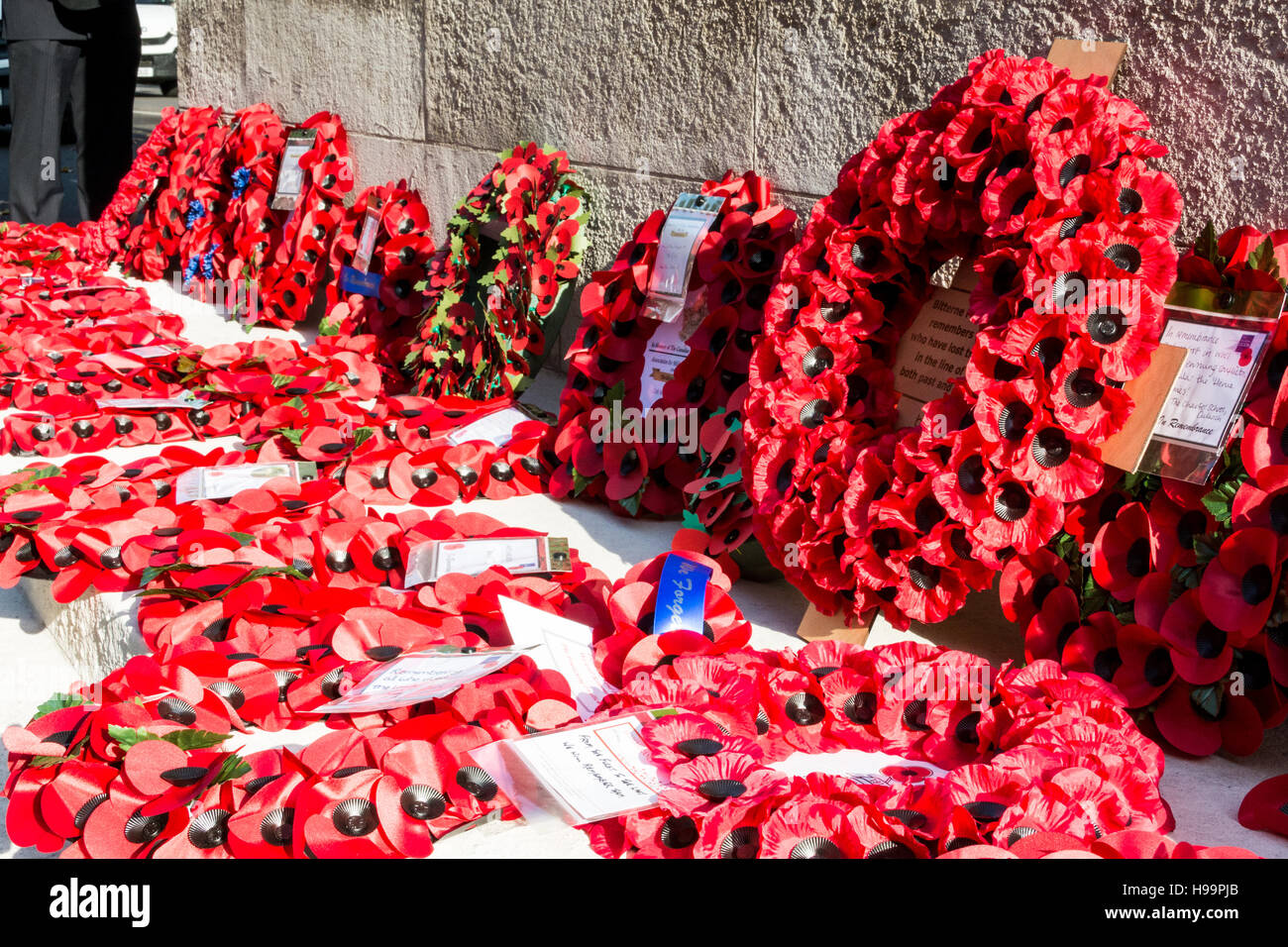 Rote Mohnkränze umgeben das Cenotaph auf Whitehall am Waffenstillstandstag in London, Großbritannien Stockfoto