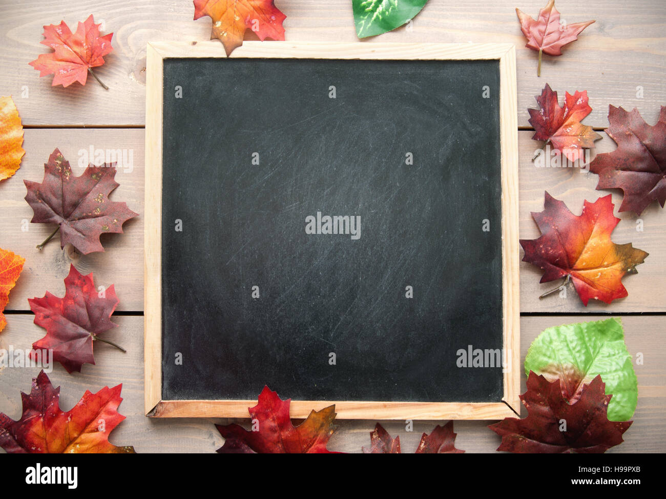 Blätter im Herbst um eine Tafel mit dem Raum Stockfoto