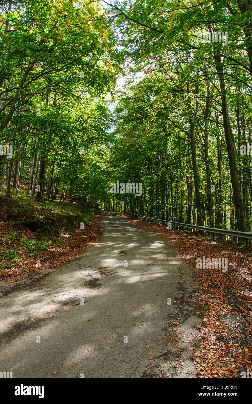 Eine Straße in Bükk Berge, Ungarn Stockfoto