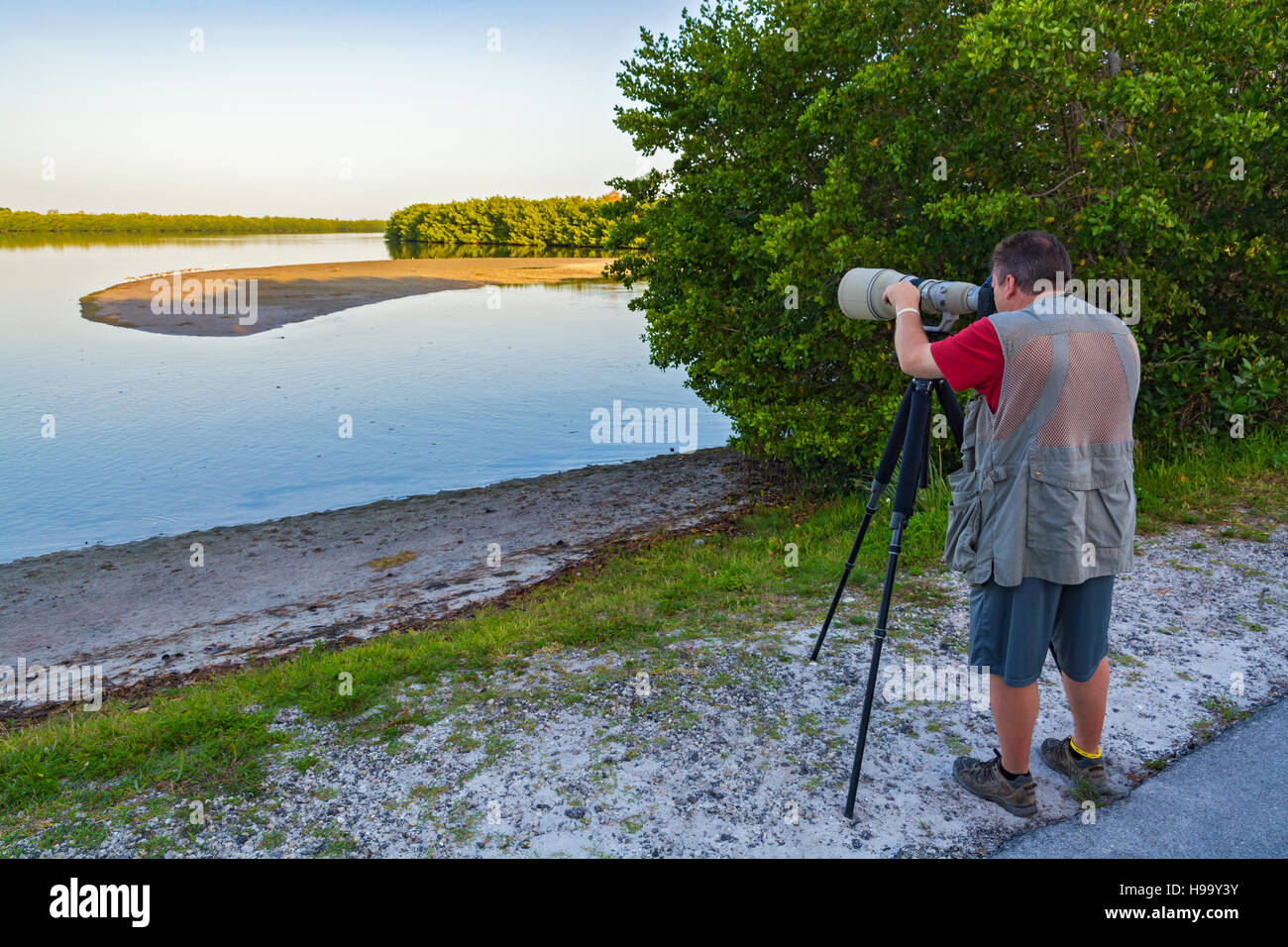 Florida, Sanibel Island, j.n. "Ding" Darling National Wildlife Refuge, Wildnis-Antrieb, Fotografen fotografieren Watvögel Stockfoto