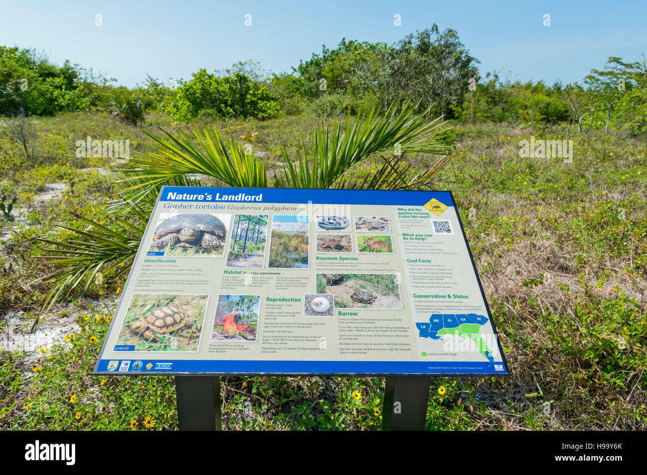 Florida, Sanibel Island, Bowmans Beach, Gopher Schildkröte (Gopherus Polyphemus) Lebensraum Hinweisschild Stockfoto