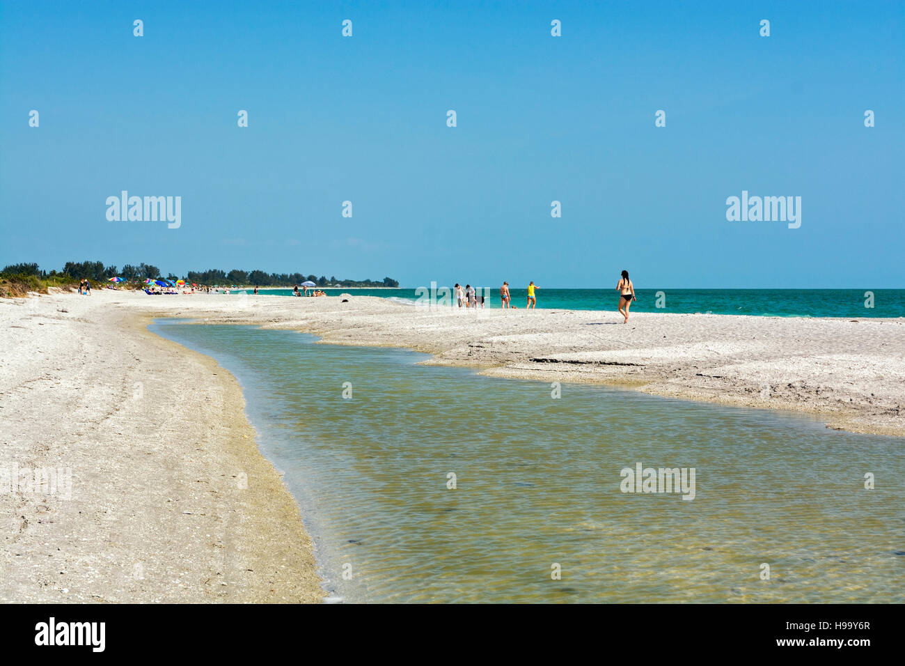 Florida, Sanibel Island, Bowmans Strand, Meer Muschelsammler Stockfoto