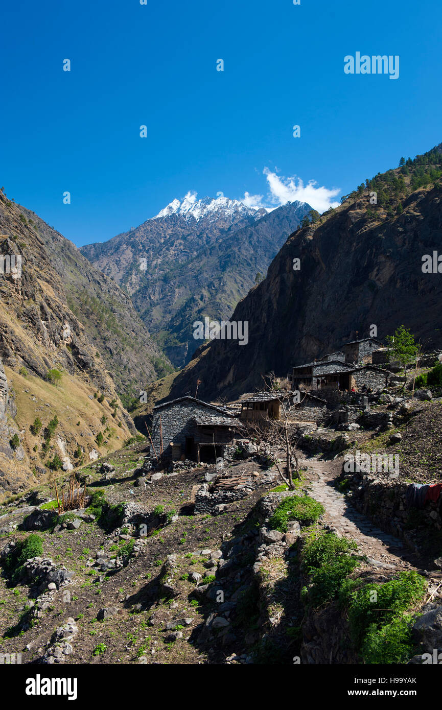 Dorf auf dem Manaslu Circuit in der Nähe von Philim, 5 Tage ab Ausgangspunkt der Wanderung am Arughat Bazar. Die 16-tägige Manaslu Schaltung ist Teil des großen Himalaya-Trai Stockfoto