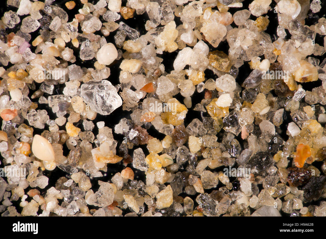 Sand, Körner & marine Fragmente, hohe Makro Ansicht, Kardemena, Insel Kos, Griechenland Stockfoto