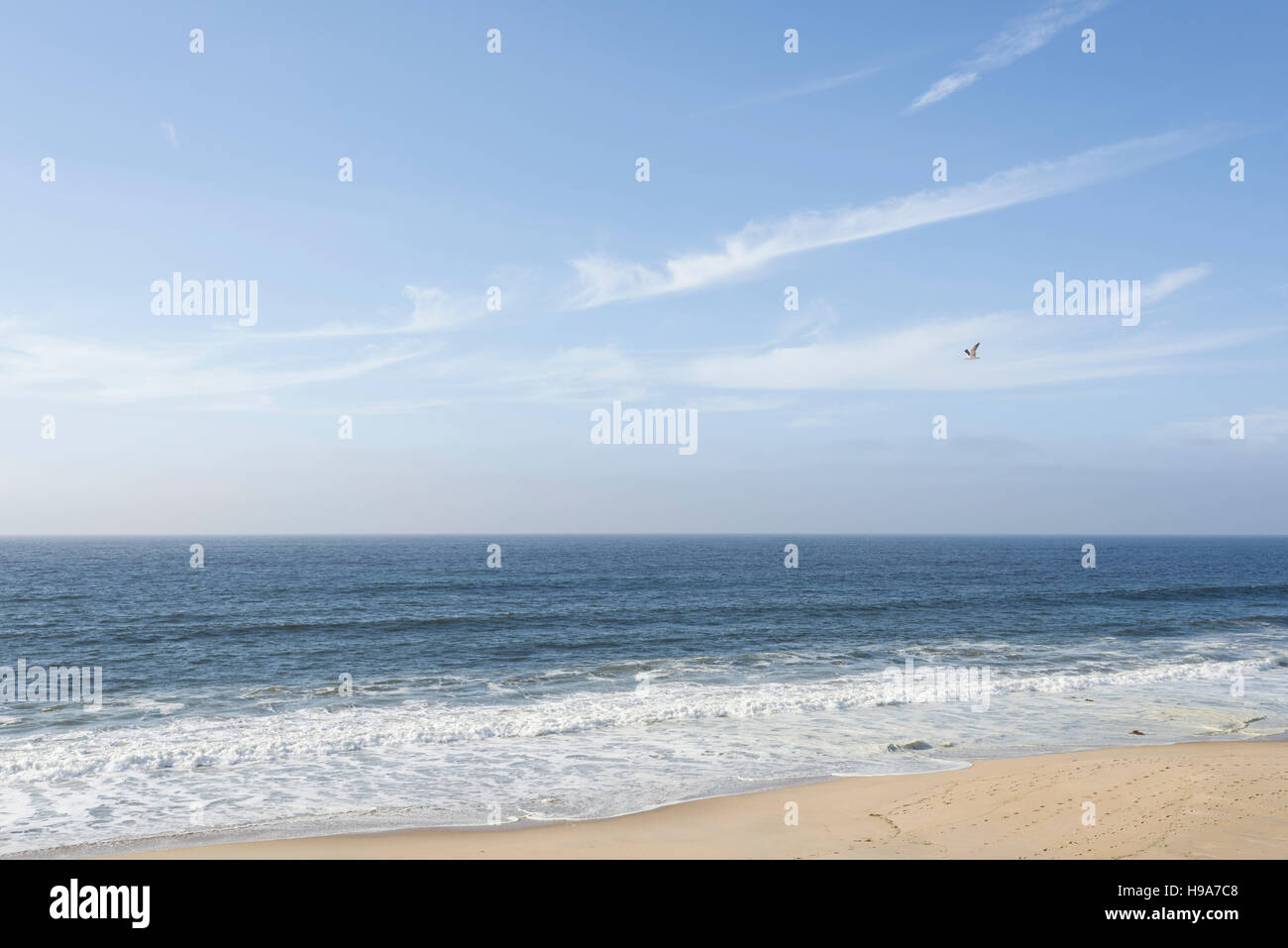 Marina State Beach und Fort Ord Dunes State Park, Kalifornien. Stockfoto