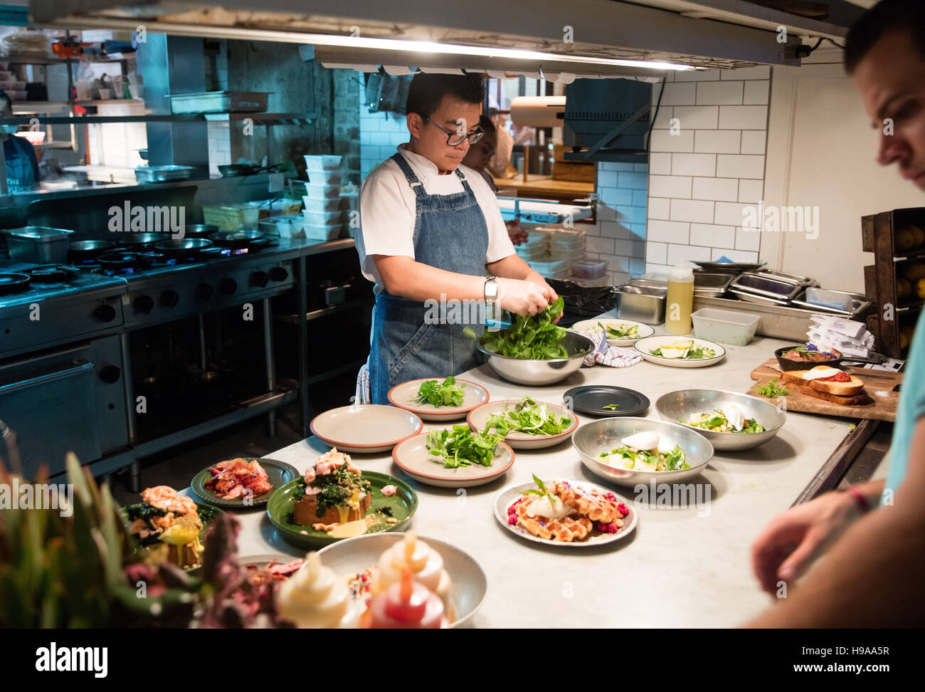 Ein Koch macht den letzten Schliff mit Mittagessen Platten in The Grounds Restaurant in Alexandria, South Sydney Stockfoto