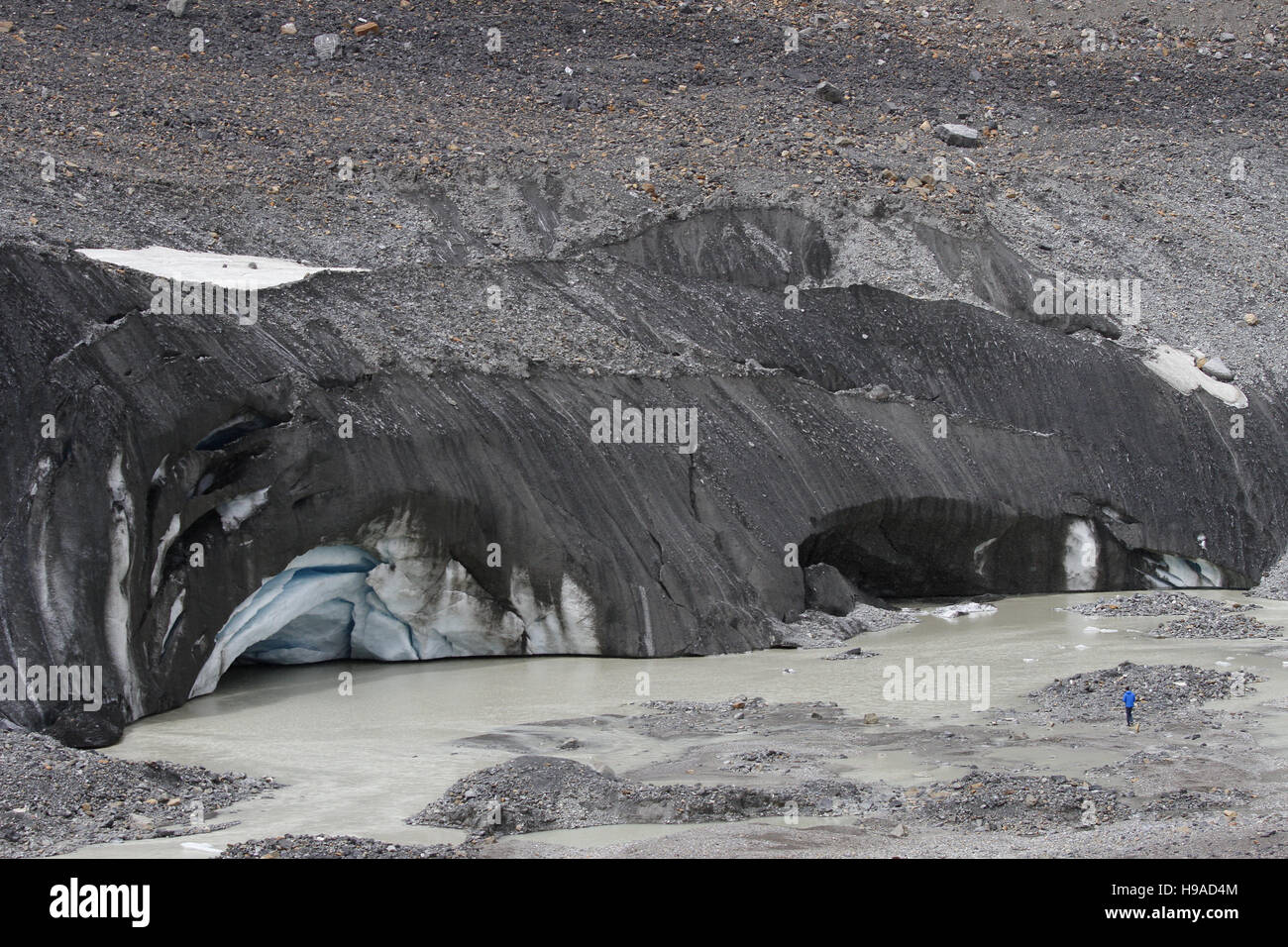 Der Gletscher namens Athabasca im Columbia Eisfeld, im Jasper National Park in den kanadischen Rockies. Derzeit geht er um 5 Meter pro Jahr zurück. Stockfoto