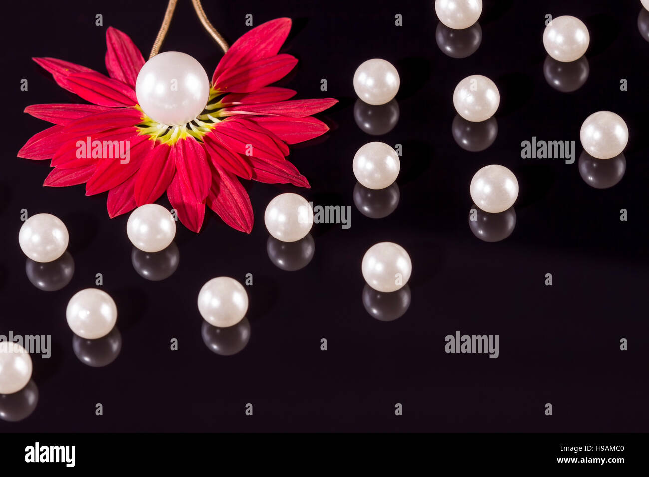 Weiße Perlen Halskette auf schwarzem Hintergrund. Konzentrieren Sie sich auf die große Perle aus der linken Ecke über rote Blütenblätter! Stockfoto