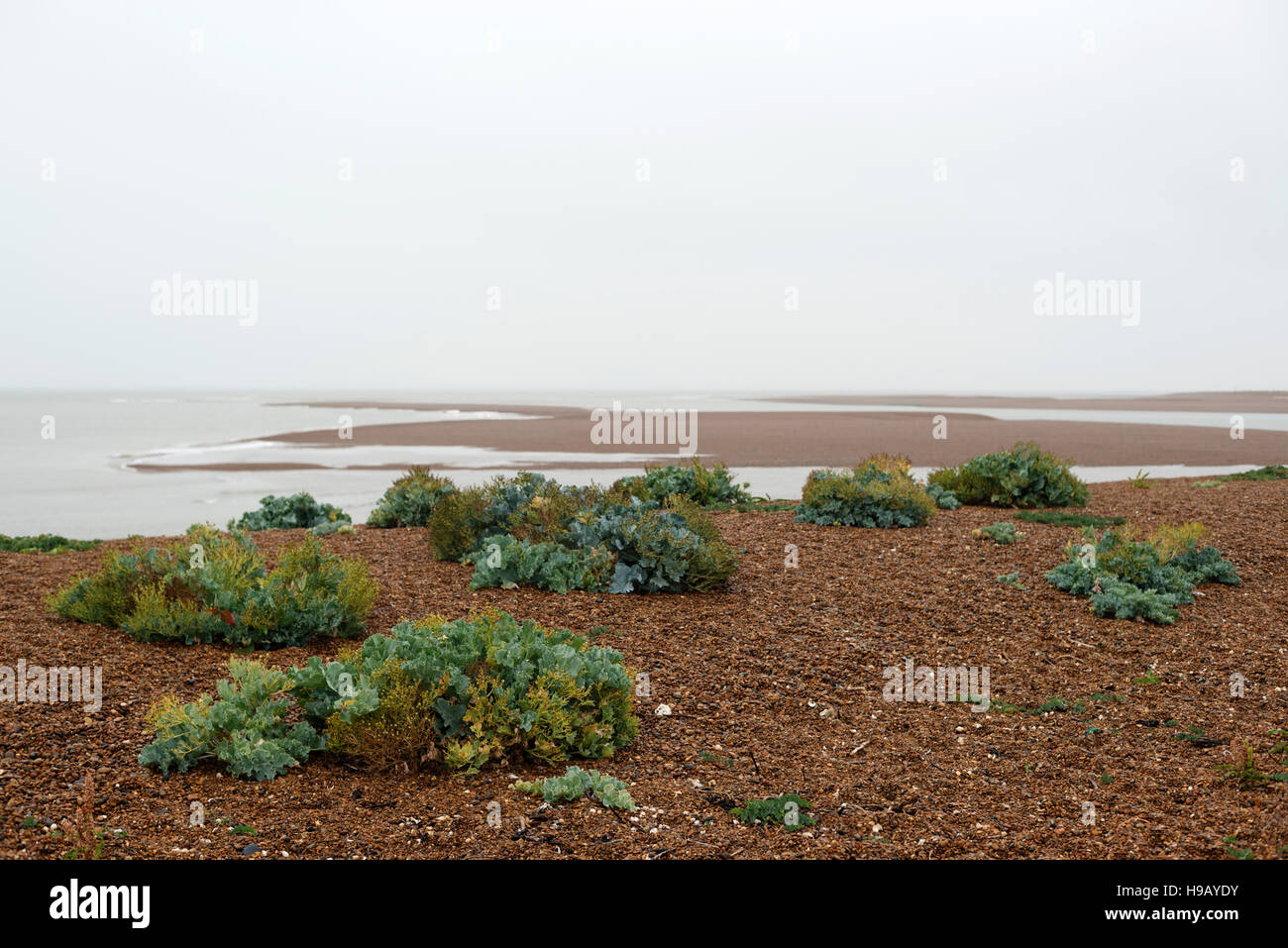 Ferngesteuerte Modell-Schlepper Stockfoto