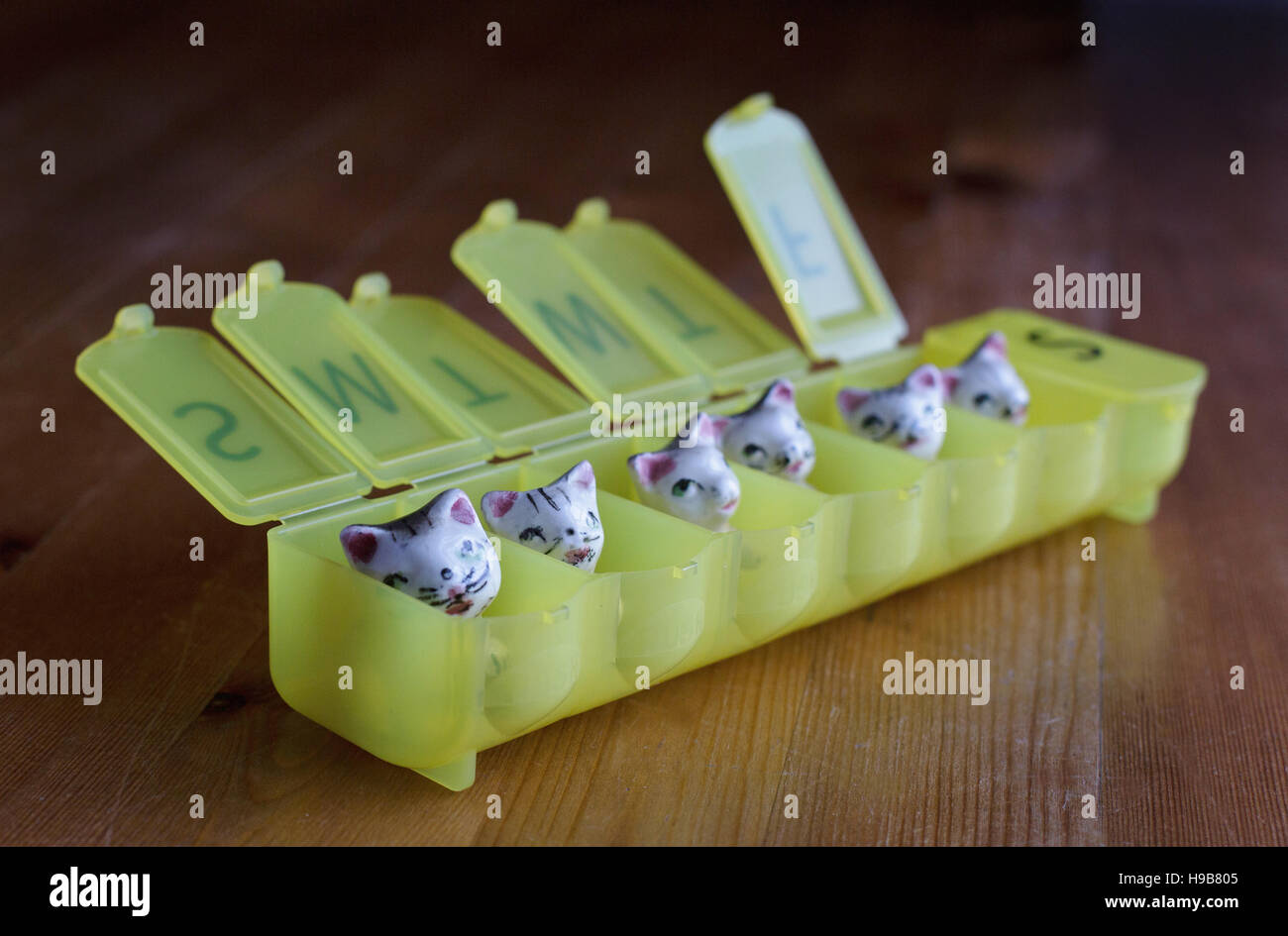 Kleine Keramik Kätzchen in einem wöchentlichen Pillenbox. Stockfoto