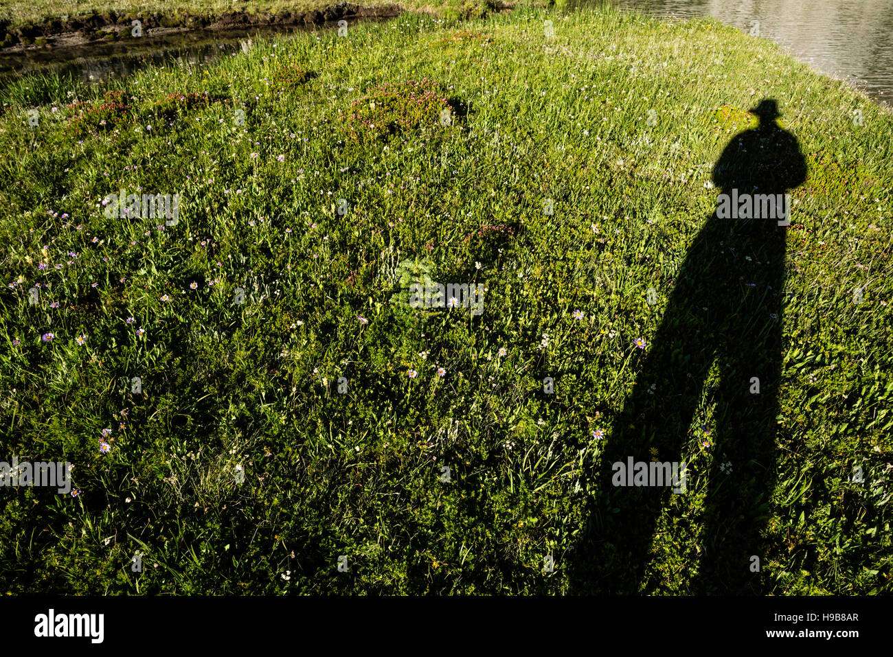 Menschliche Schatten über Wiese, Oregon. Stockfoto