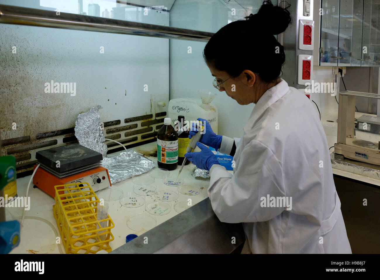 Labortechniker Experiment innen Jacob Blaustein Institut für Wüste Forschung, die Teil der Ben-Gurion-Universität befindet sich in der Midreshet Ben-Gurion-Campus in der Nähe von Sde Boker in der Mitte der Wüste Negev in Israel am 20. November 2016 laufen. Israel bekommt jetzt 55 Prozent des inländischen Wassers von Entsalzung, und das hat geholfen, um eines der trockensten Länder der Welt in die unwahrscheinlichsten Wasser Riesen zu verwandeln. Stockfoto