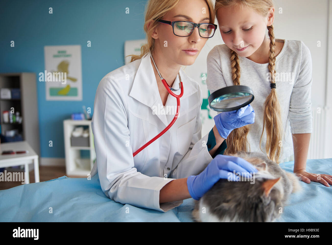 Tierarzt und Mädchen, die Überprüfung der Katze das Fell Stockfoto