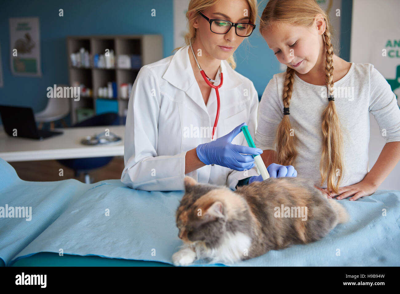 Injektion für die kranke Katze Stockfoto