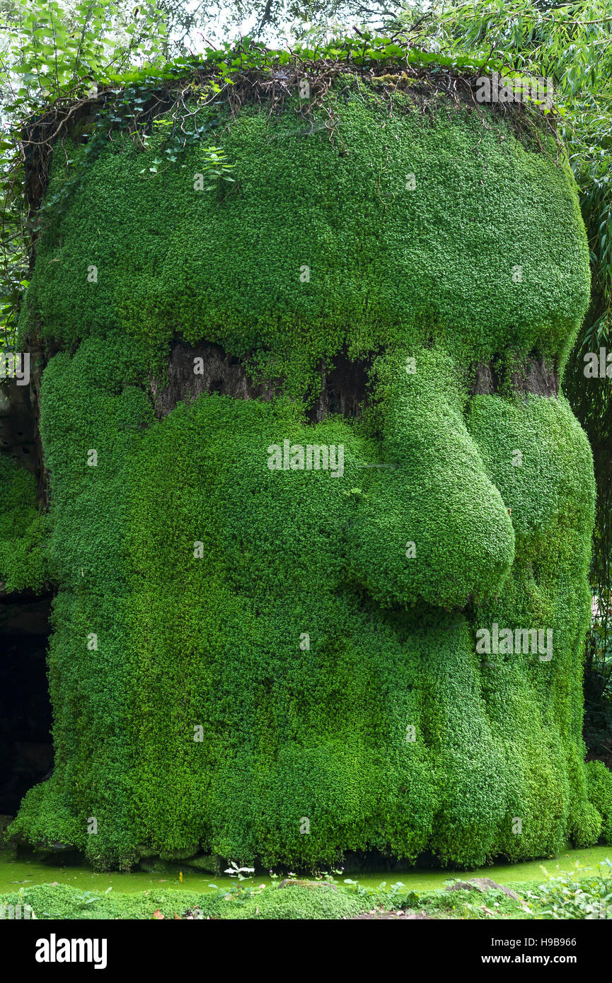 Kopf gebildet aus Pflanzen, Parc Floral et tropischen De La Court d'Aron, Saint-Cyr En Talmondais, Vandee, Frankreich Stockfoto