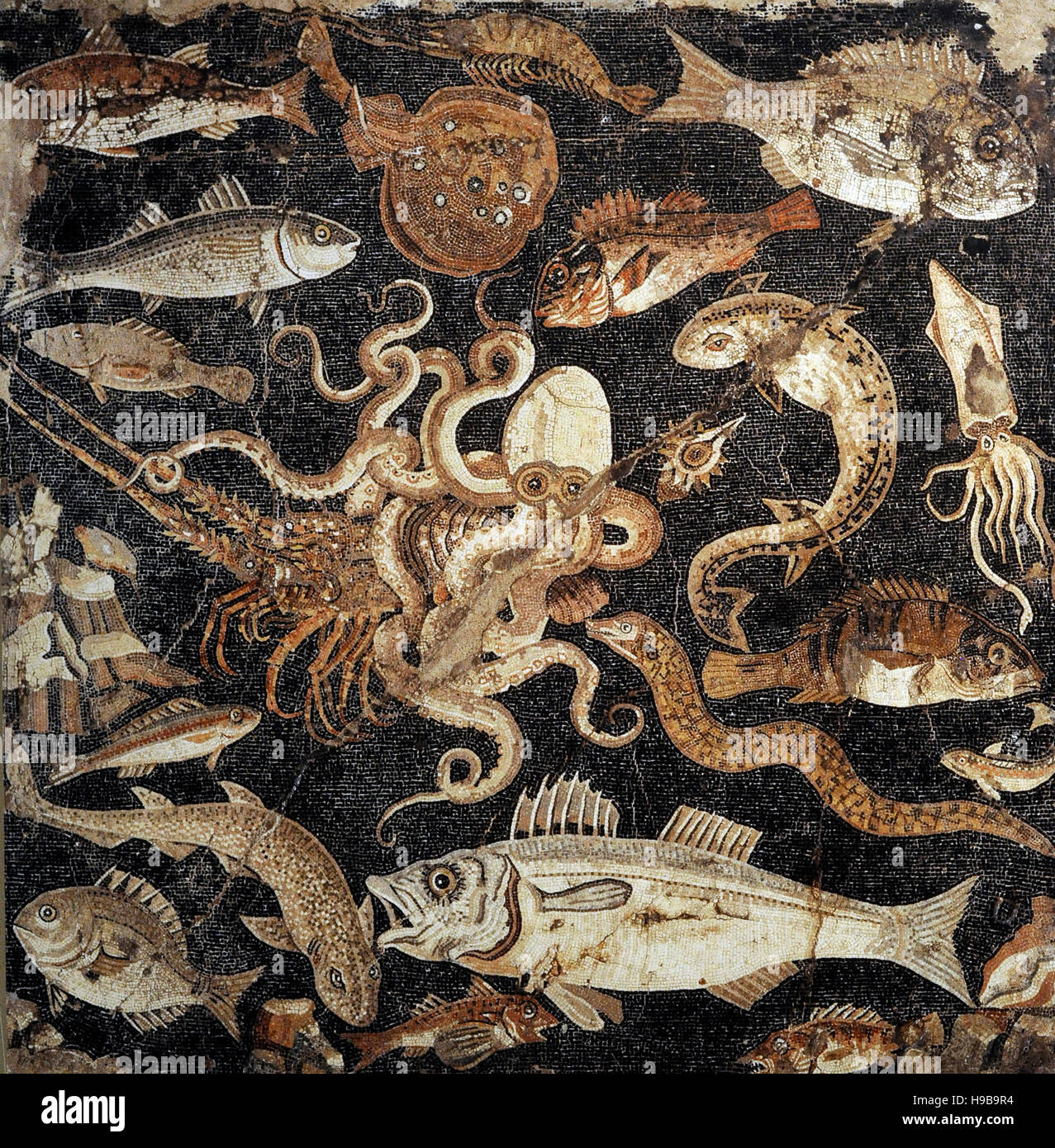 Römisches Mosaik. Marine Tierwelt. Pompeji, Italien. 1. Jh.V.Chr.  Haus l, Aelius Magnus (VIII, 2, 16). Nationales Archäologisches Museum, Naples. Italien. Stockfoto