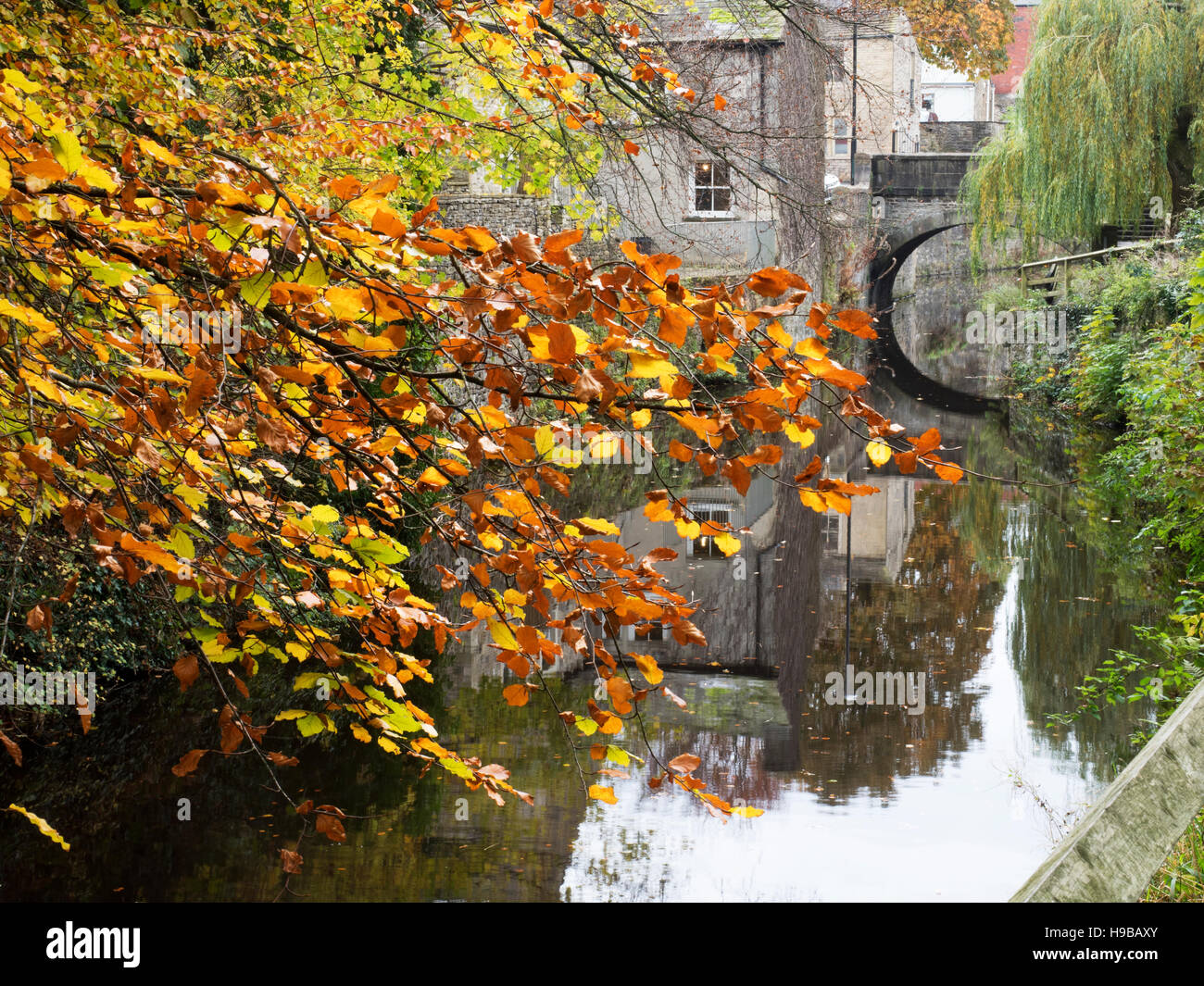 Die Federn Zweig des Leeds and Liverpool Canal im Herbst Skipton North Yorkshire England Stockfoto