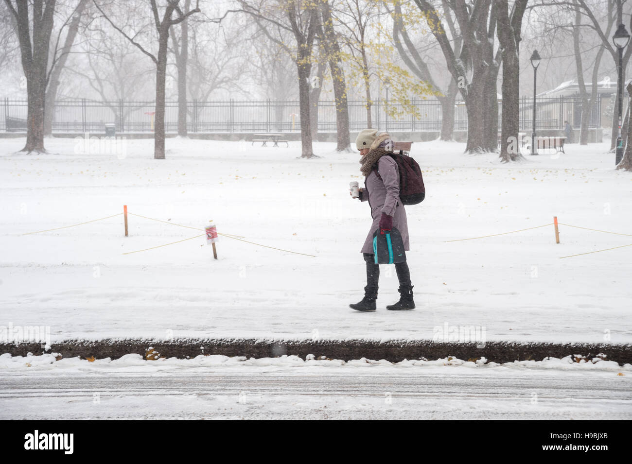 Montreal, Kanada. 21. November 2016. Erste Schnee der Saison trifft die Stadt. Fußgängerzone zu Fuß in Laurier Park. Bildnachweis: Marc Bruxelle/Alamy Live-Nachrichten Stockfoto