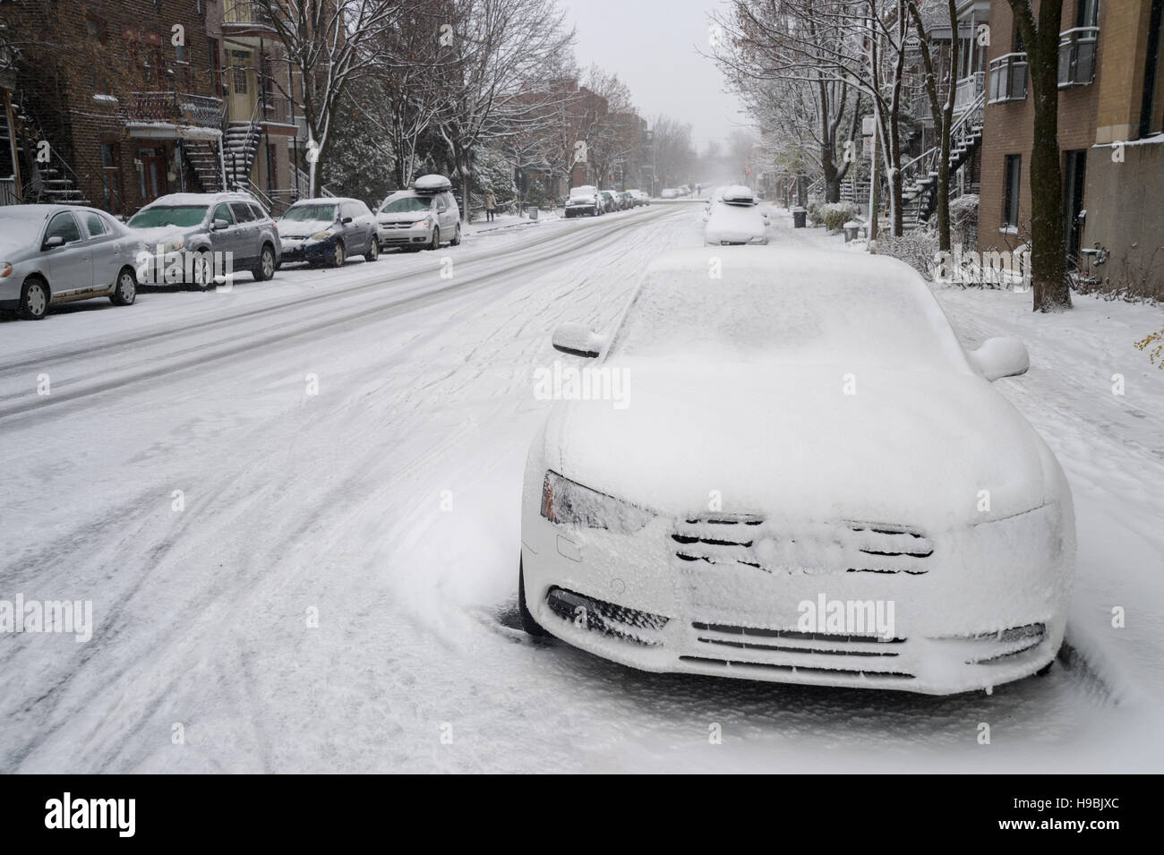 Montreal, Kanada. 21. November 2016. Erste Schnee der Saison trifft die Stadt. Straße in Le Plateau mit Autos im Schnee Credit bedeckt: Marc Bruxelle/Alamy Live News Stockfoto