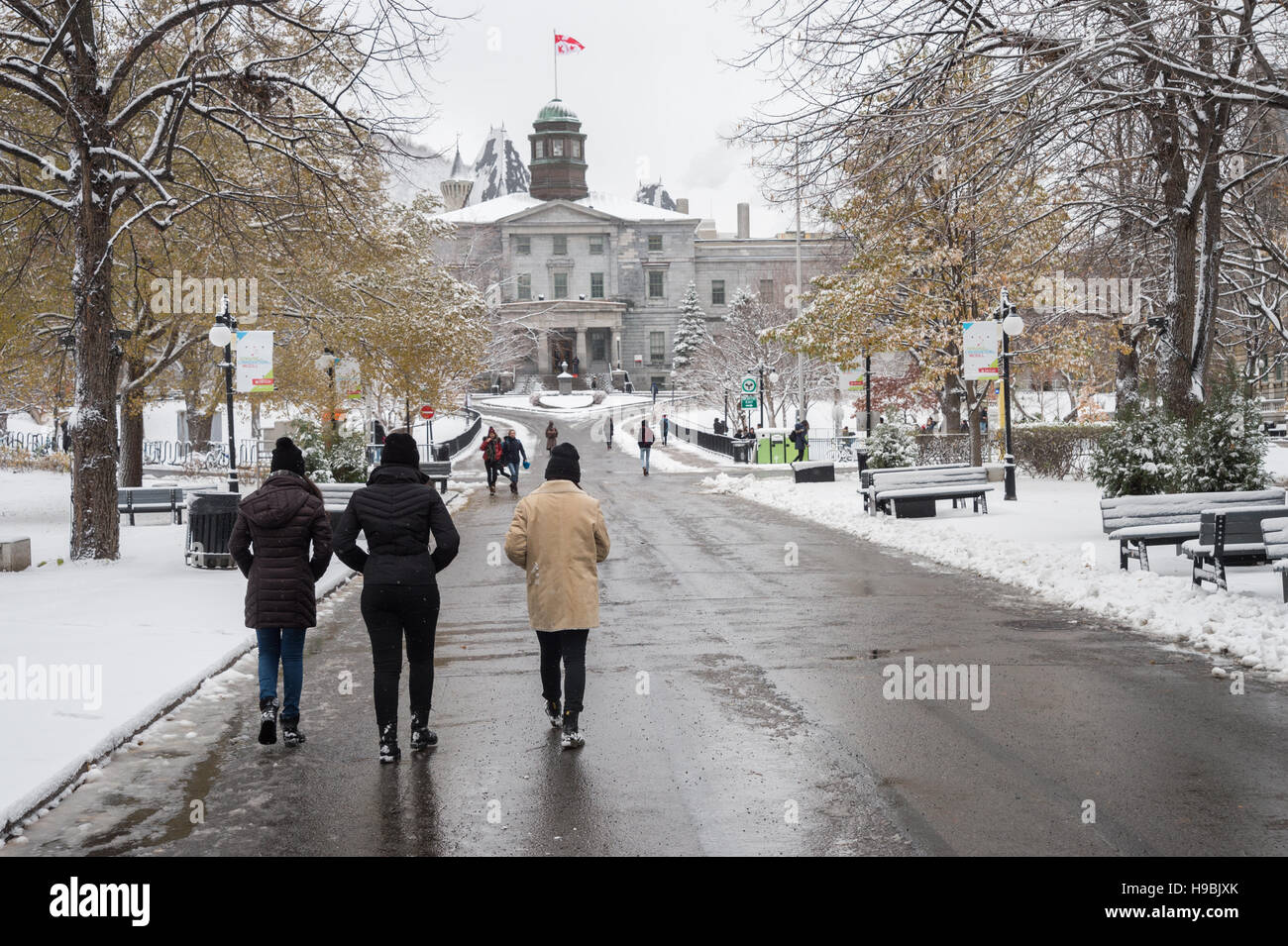 Montreal, Kanada. 21. November 2016. Erste Schnee der Saison trifft die Stadt. Studenten gehen auf McGill University Campus. Bildnachweis: Marc Bruxelle/Alamy Live-Nachrichten Stockfoto