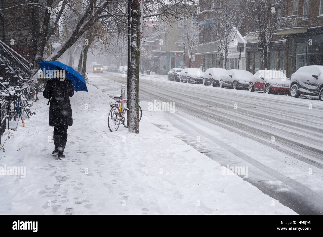 Montreal, Kanada. 21. November 2016. Erste Schnee der Saison trifft die Stadt. Fußgänger auf Laurier Straße. Bildnachweis: Marc Bruxelle/Alamy Live-Nachrichten Stockfoto