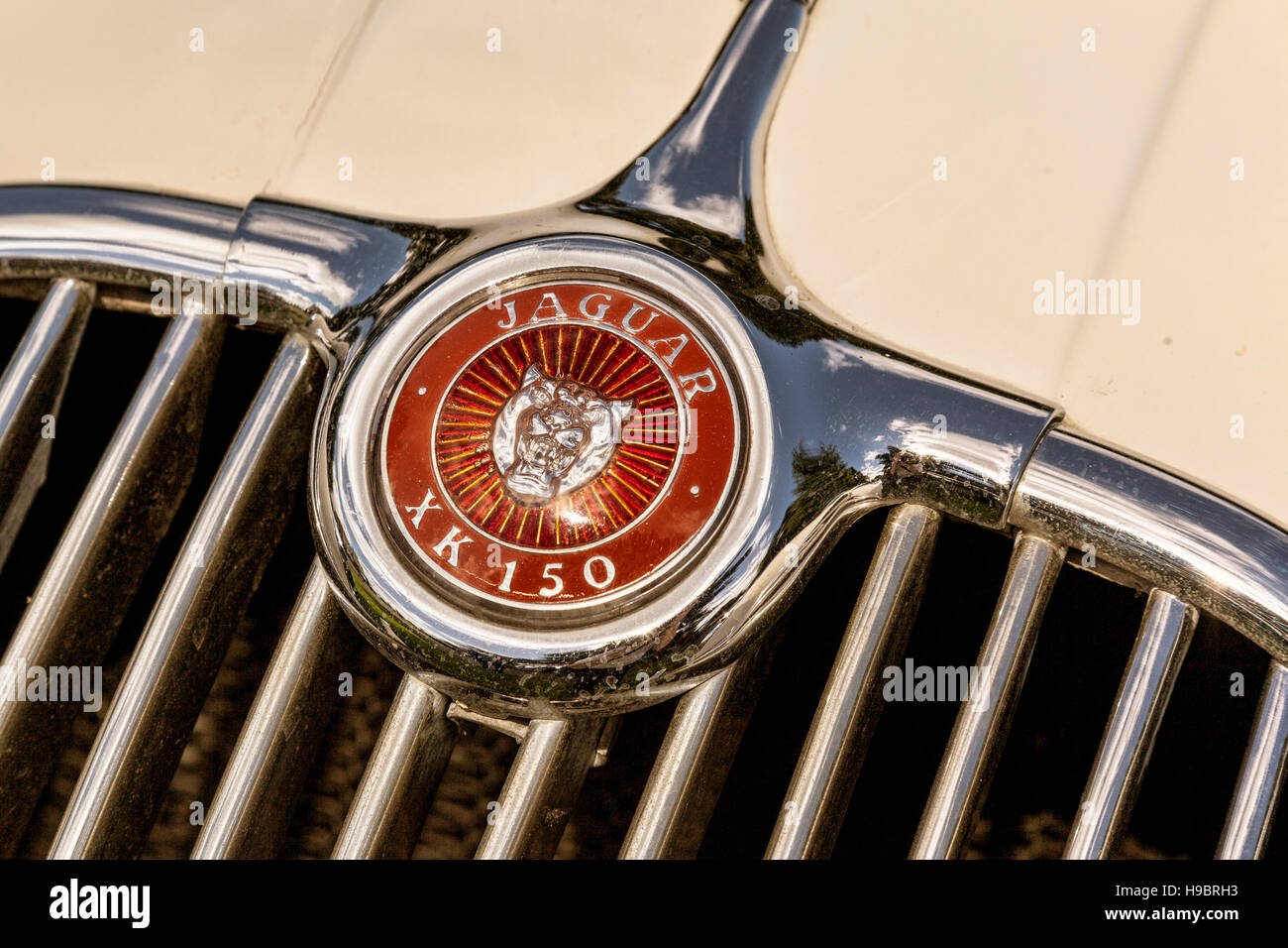 Detail der Kühlergrill und Abzeichen der Jaguar XK150 Roadster Stockfoto