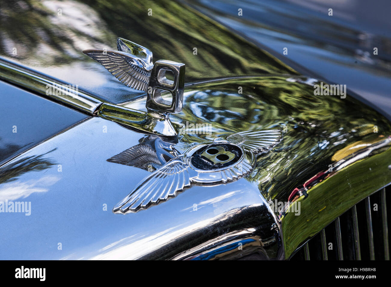 Kühlerfigur und Abzeichen auf Bentley Oldtimer Stockfoto