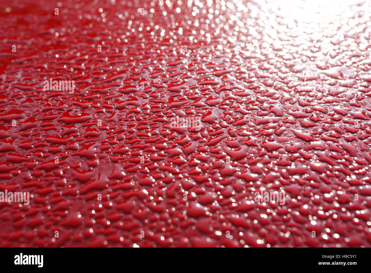Struktur, Motorhaube Auto voller Morgentau, rot, Wasser, Herbst, Tautropfen Stockfoto