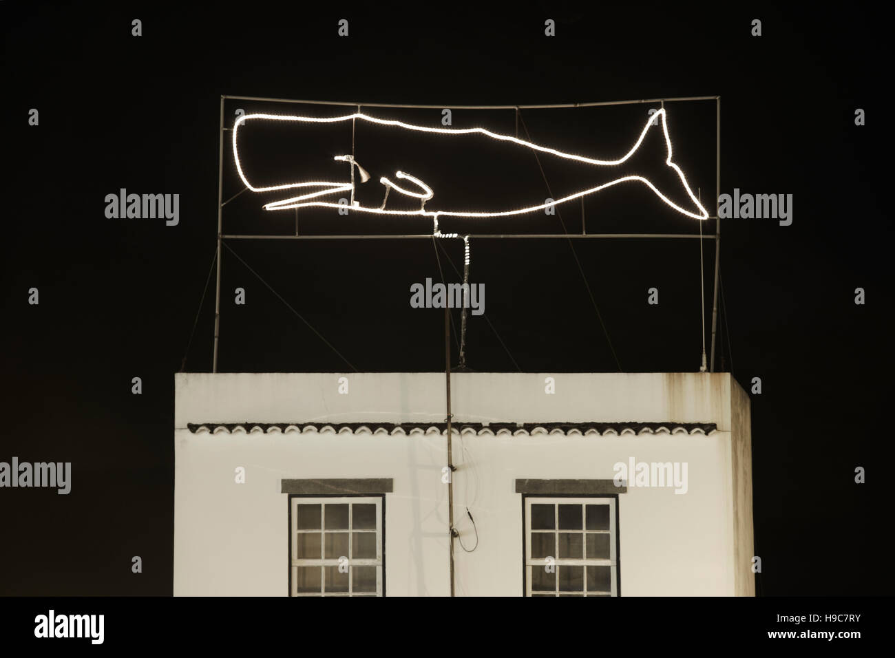 Pottwal Neonlicht über ein Gebäude in Azoren. Portugal. Horizontale Stockfoto