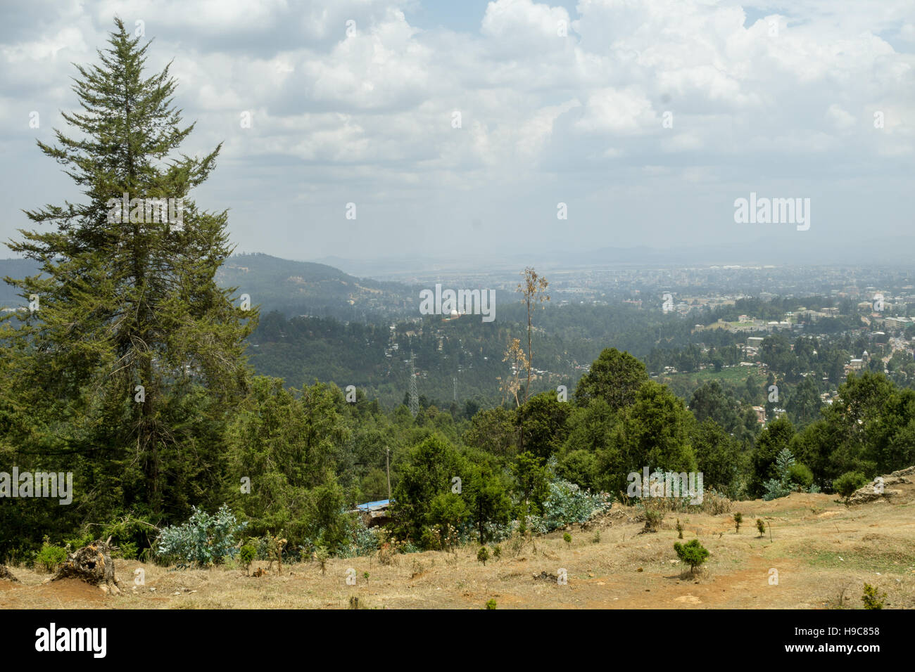 Blick auf die Landschaft rund um Addis Abeba aus Mount Entoto Stockfoto