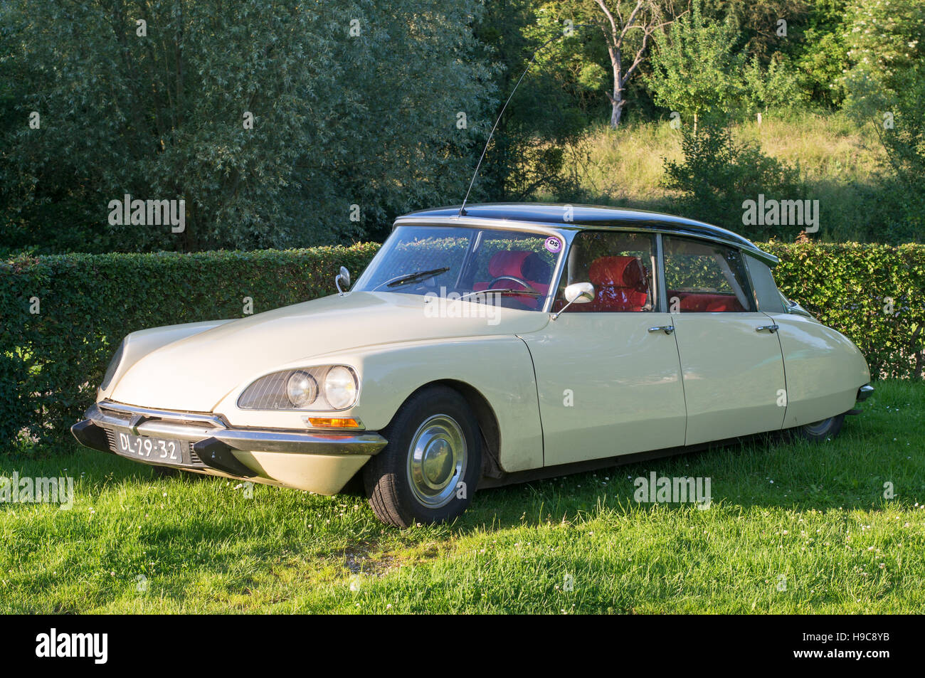 Citroën DS Oldtimer in zwei Ton Elfenbein und schwarz Stockfoto