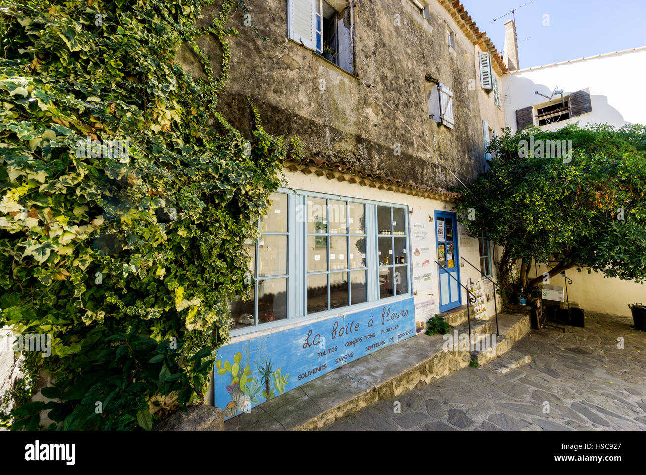 La Boite ein Fleurs, einem typisch provenzalischen Shop in das malerische Südfrankreich Dorf Ramatuelle, Var, Frankreich Stockfoto