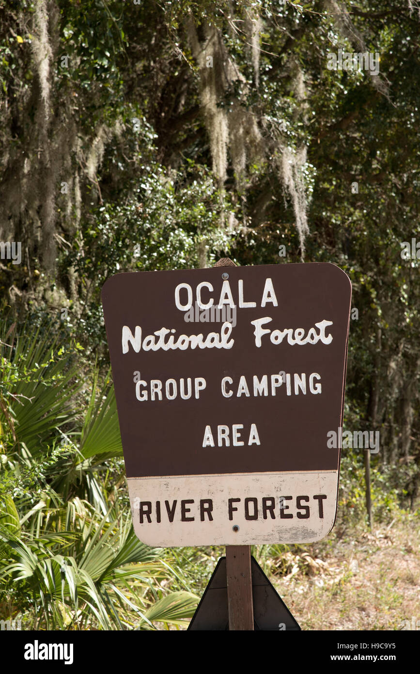 Ocala National Forest Florida USA - braunen touristischen Zeichen für eine Gruppe-Campingplatz Stockfoto