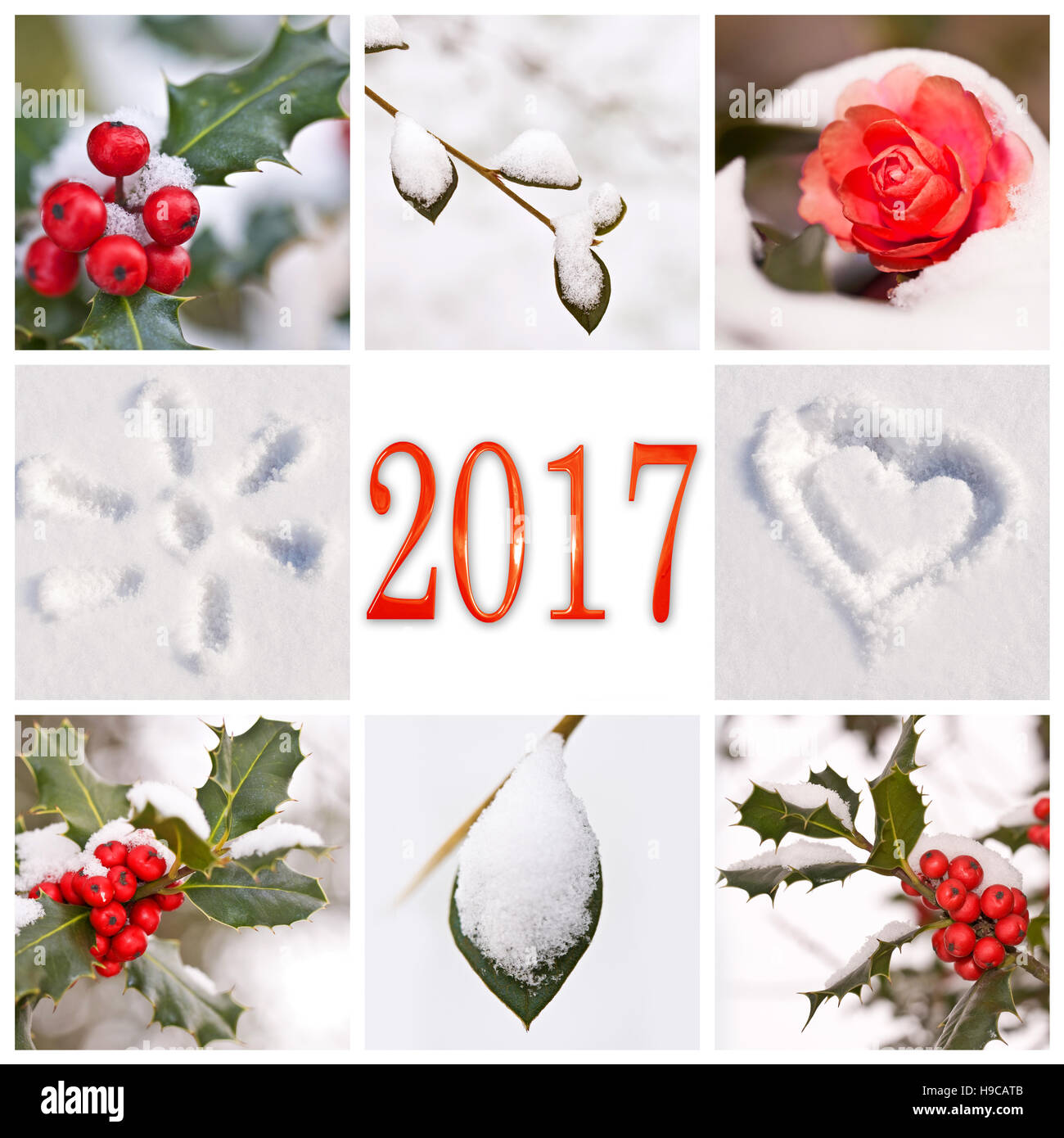 2017, Schnee und winter rot und weiß Naturfotos collage Stockfoto