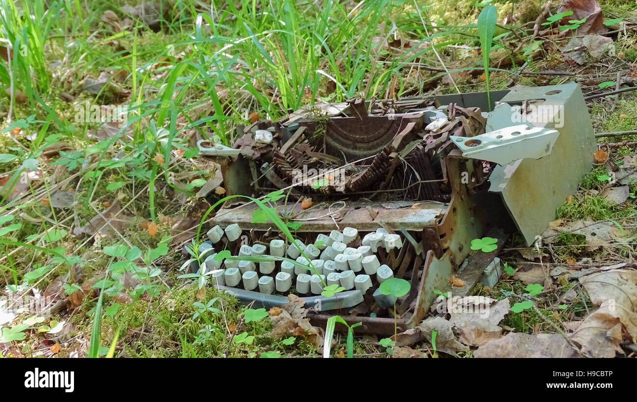 Alte Schreibmaschine im Dickicht Stockfoto