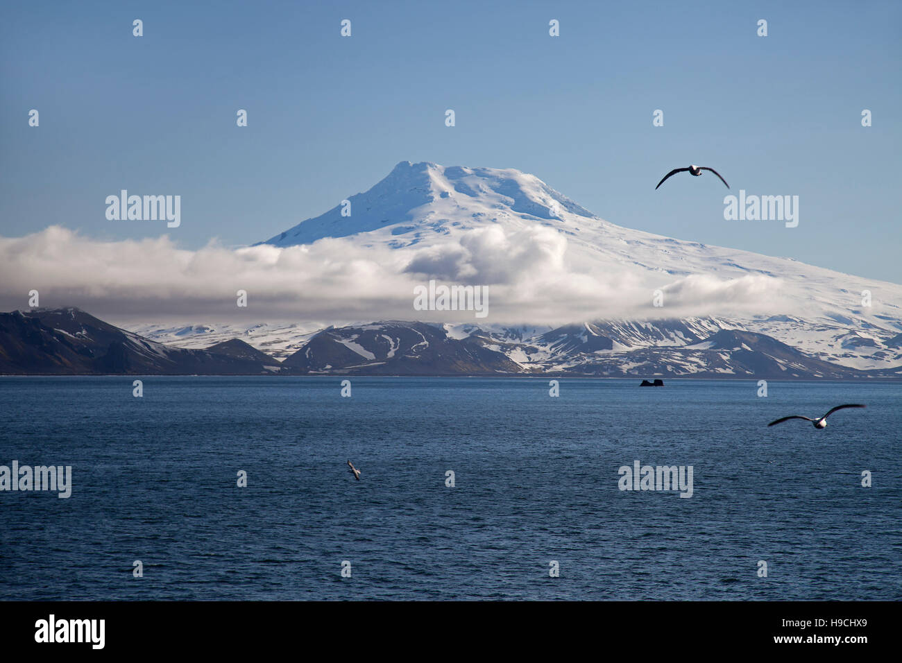 Schneebedeckte Beerenberg Vulkan (2. 277m) auf Jan Mayen, vulkanische Insel im arktischen Ozean im Frühjahr Stockfoto