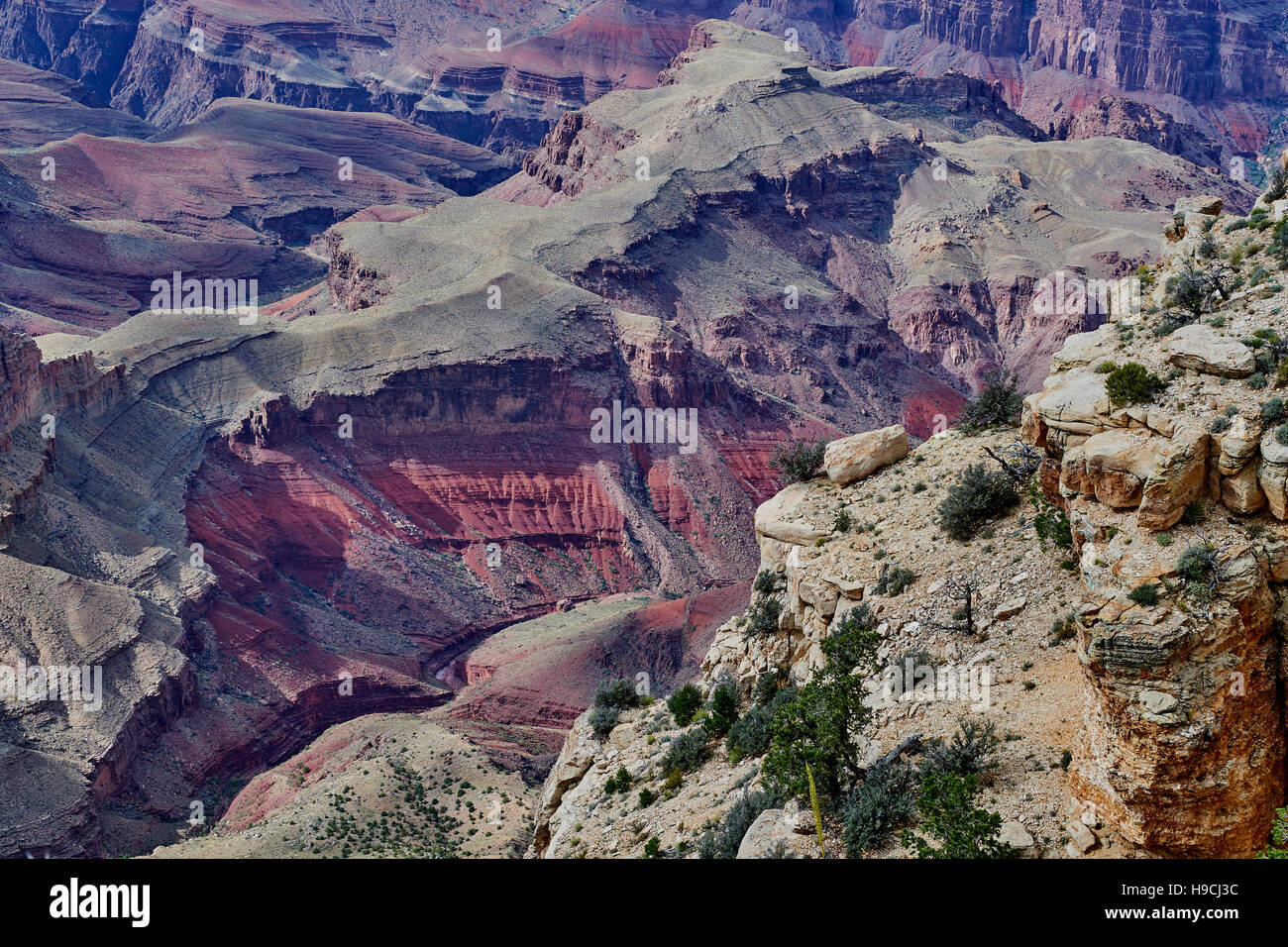 Die Crand Canyon entnommen aus der Wüste Ansicht Wachturm am South Rim des Canyon Arizona USA Stockfoto