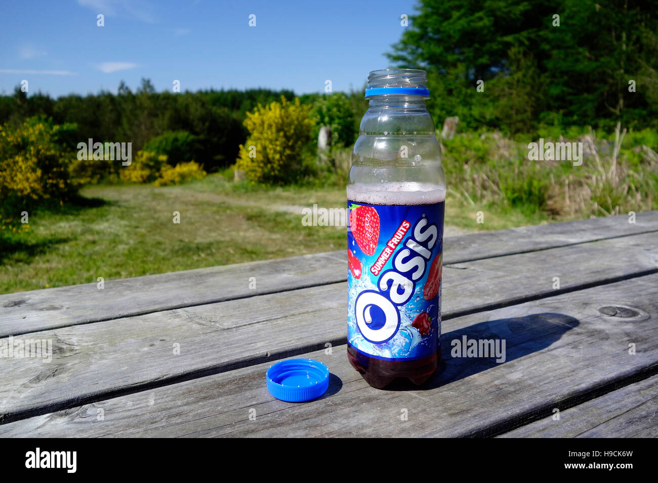 Kunststoff-Flasche Softdrink Oase Wald Früchte auf einem Picknick-Tisch, UK Stockfoto
