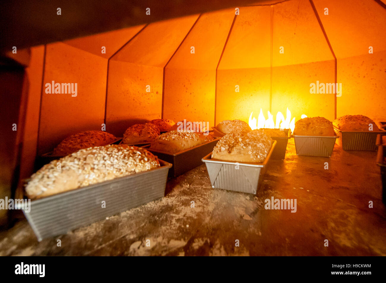 Nachbarn und Freunde versammeln sich um Brot füreinander in Hove zu backen Stockfoto