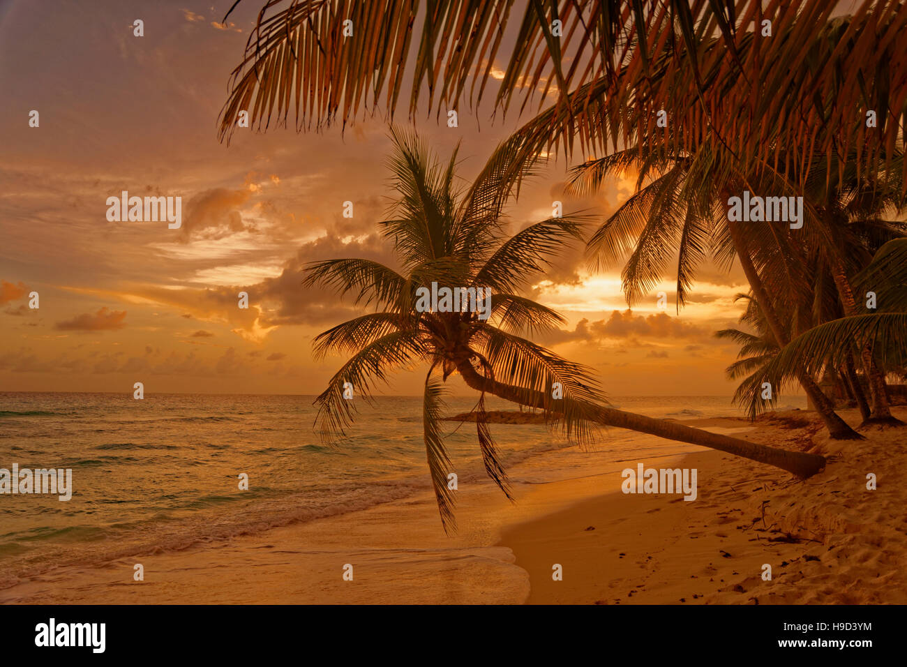Sonnenuntergang am Strand von Dover, St. Lawrence Gap, Südküste, Barbados, Karibik. Stockfoto