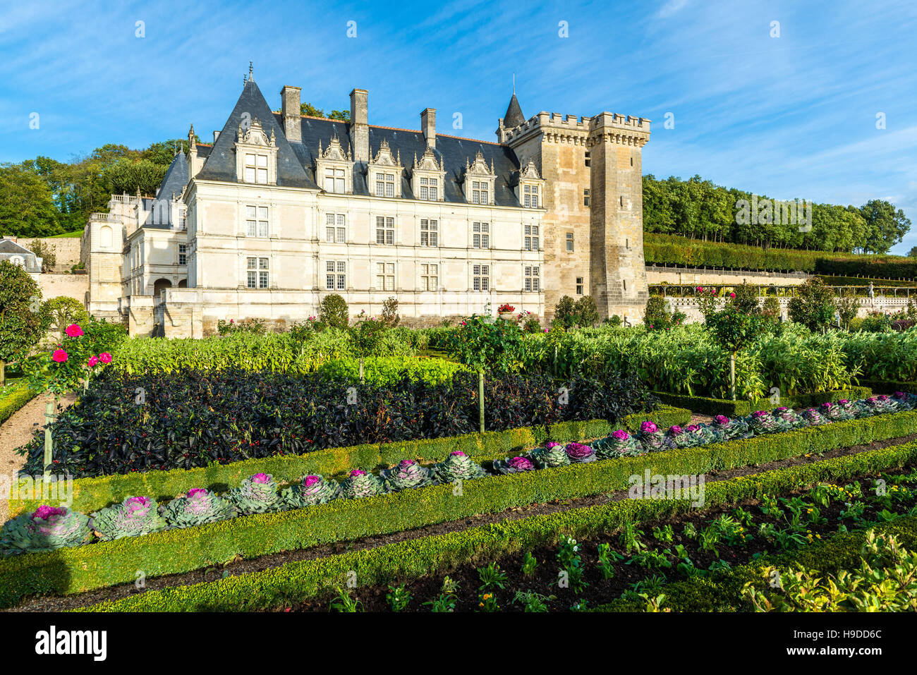 Schloss "Château de Villandry" (zentral-westlichen Frankreich) und einen Gemüsegarten. Stockfoto