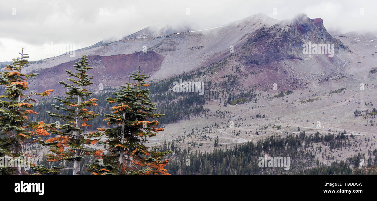 Mount Shasta und Kiefer Bäume aus grau Butte Trail, Siskiyou County, Kalifornien, USA Stockfoto