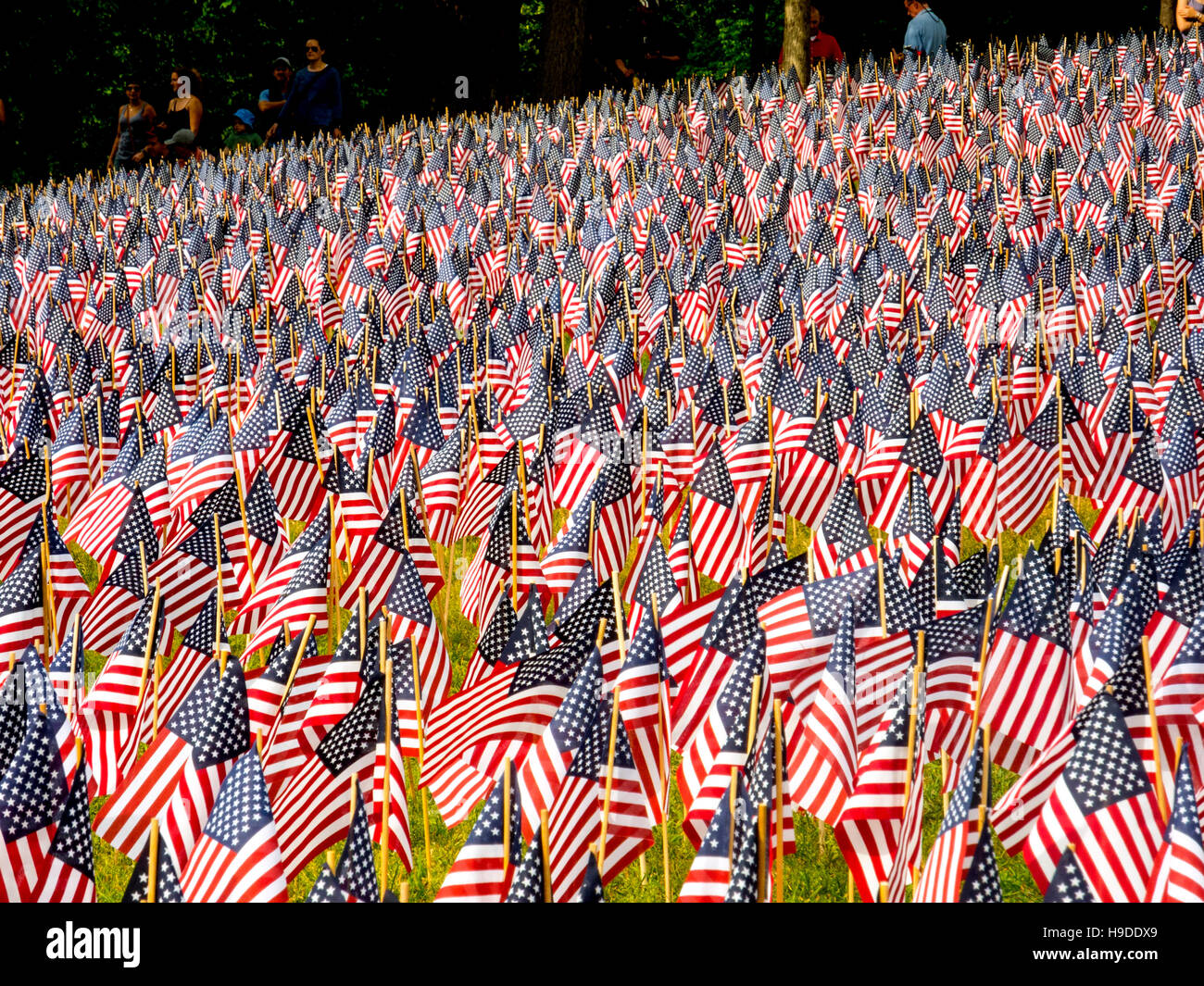 Insgesamt 37.000 US-Flaggen sind in Boston, Massachusetts bekämpfen Todesfälle in allen Kriegen unter Beachtung des Memorial Day Gedenken gemeinsam gepflanzt. Stockfoto