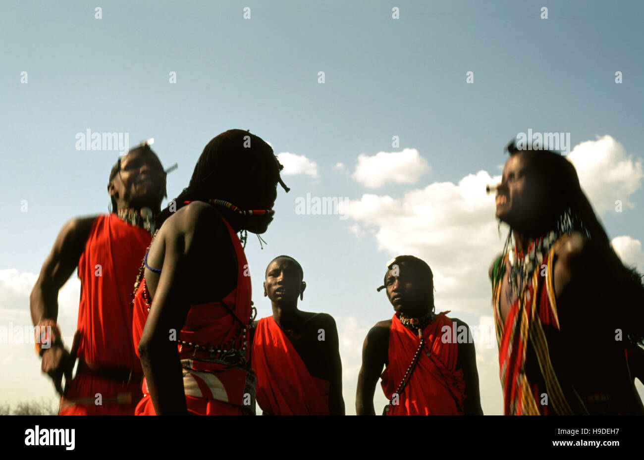 Halb-nomadischen Massai in Masai Mara National Reserve Kenia Afrika gelegen. Sowohl Männer als auch Frauen tragen bunte Erweiterungen in den Ohren eines Zoll in Stockfoto