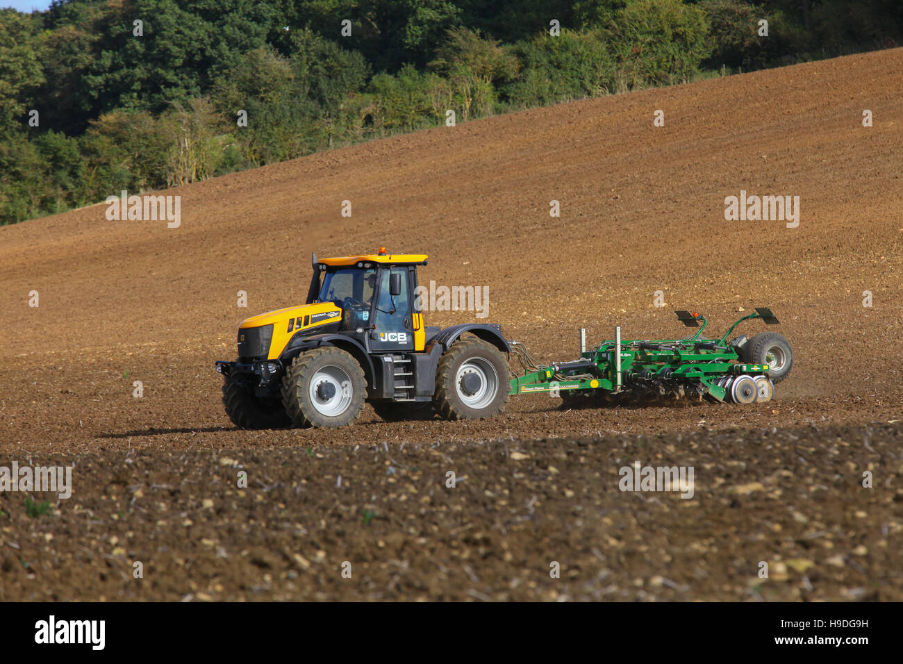 JCB Fastrack, Baureihe 3000, Traktor, Erntegutfeld, Egge, Vorbereitung, Landwirtschaft, Kultur, ländlich, Land, Pflug, Pflug, Landwirtschaft, Ackerbau, fruchtbar, Boden. Stockfoto