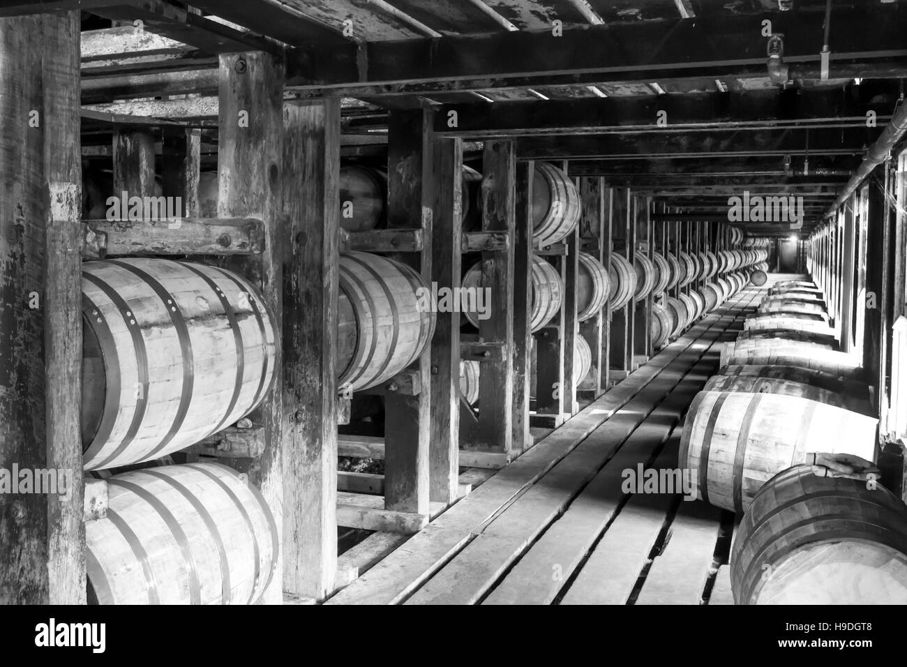 Black And White Vintage Rik Haus mit dem Altern Barrel Eiche Bourbon-Fässern. Stockfoto